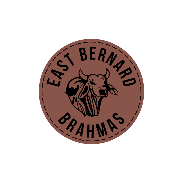 EB Athletic Booster Club Leather Patch hat