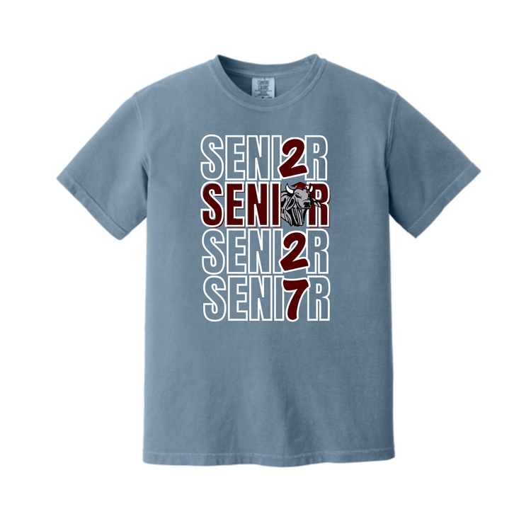 Senior Comfort Color Shirt with Brahma Bull