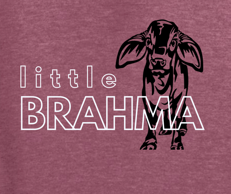 Spirit Shirt