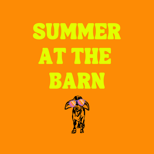 Summer at the Barn - LBB