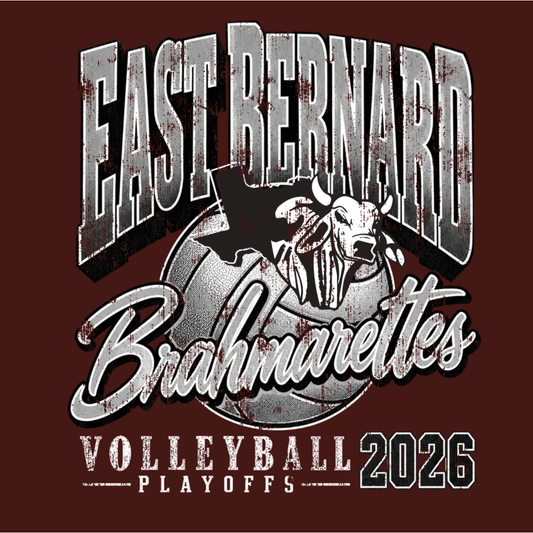 Brahmarette Volleyball Playoffs 2026