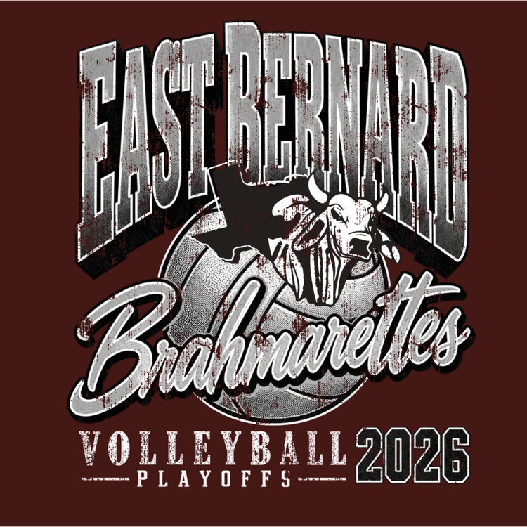 Brahmarette Volleyball Playoffs 2026